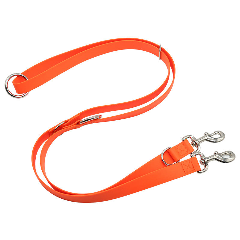 Fyloro - Leash
