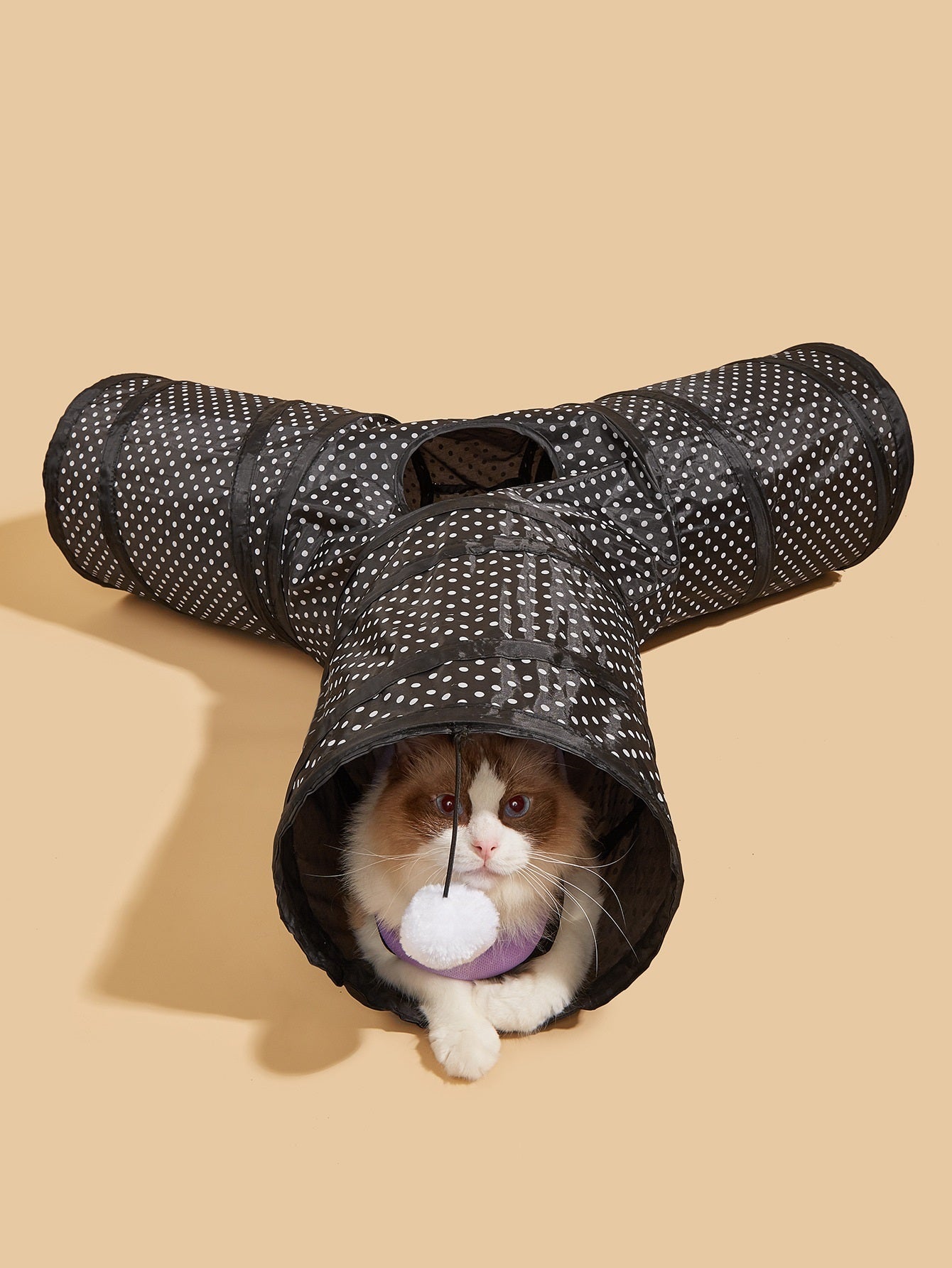 Fyloro - Cat Tunnel