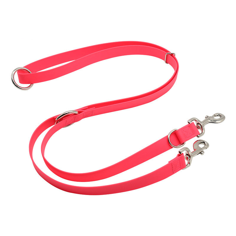 Fyloro - Leash
