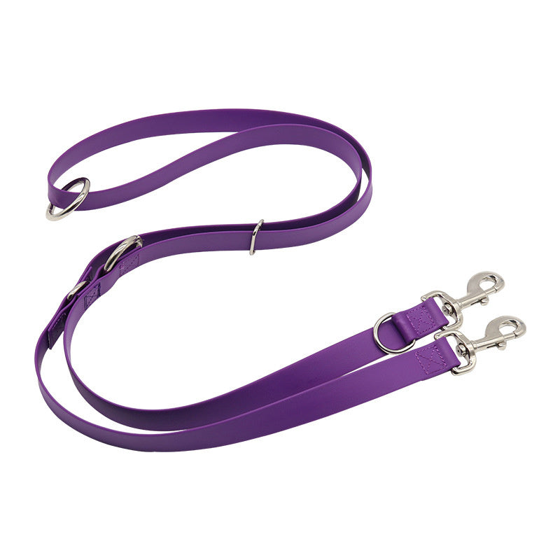 Fyloro - Leash