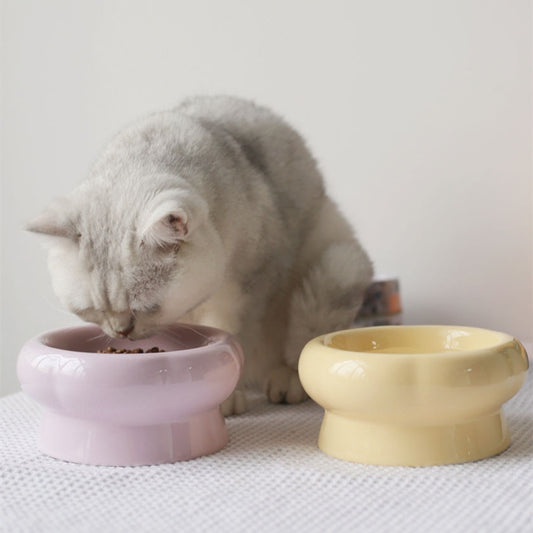 Fyloro - ceramic food bowl