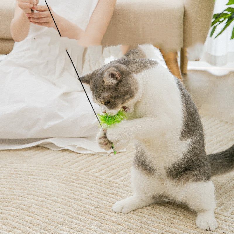Fyloro - Katzenstock