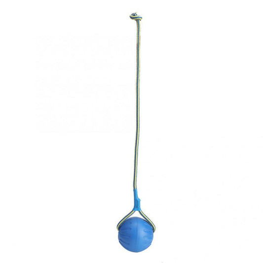 Fyloro - toy ball
