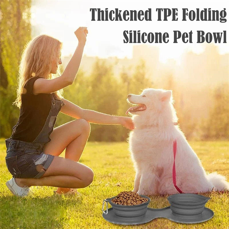 Fyloro - Mobile feeding bowl
