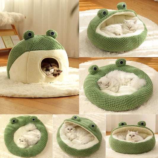 Fyloro - Froschbett