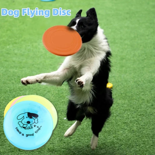 Fyloro - Frisbee
